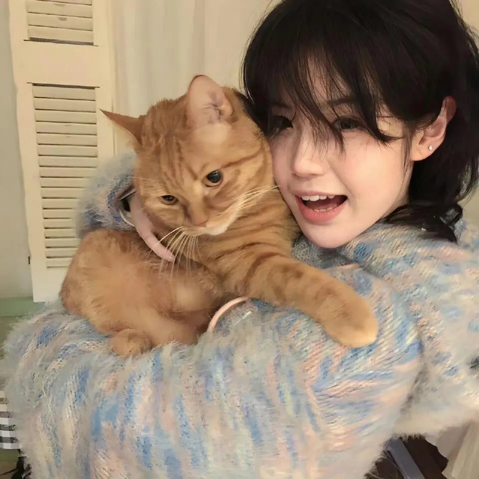 欢迎来到谋杀镇